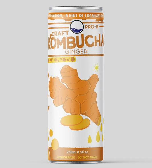 Kombucha (Ginger Flavour)