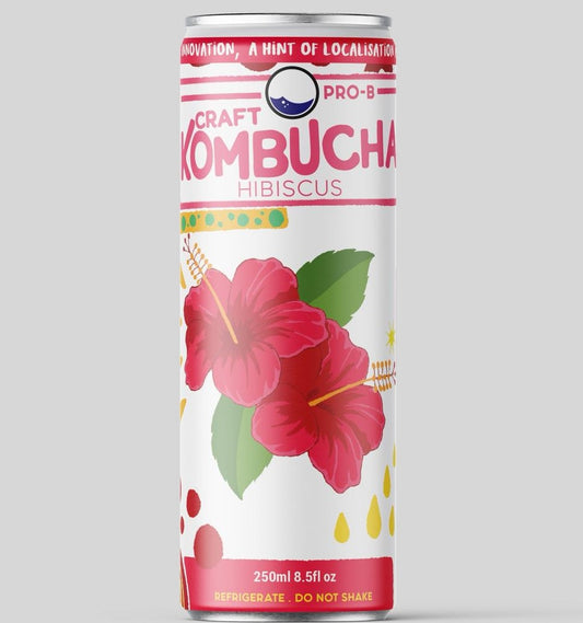 Kombucha (Hibiscus Flavour)