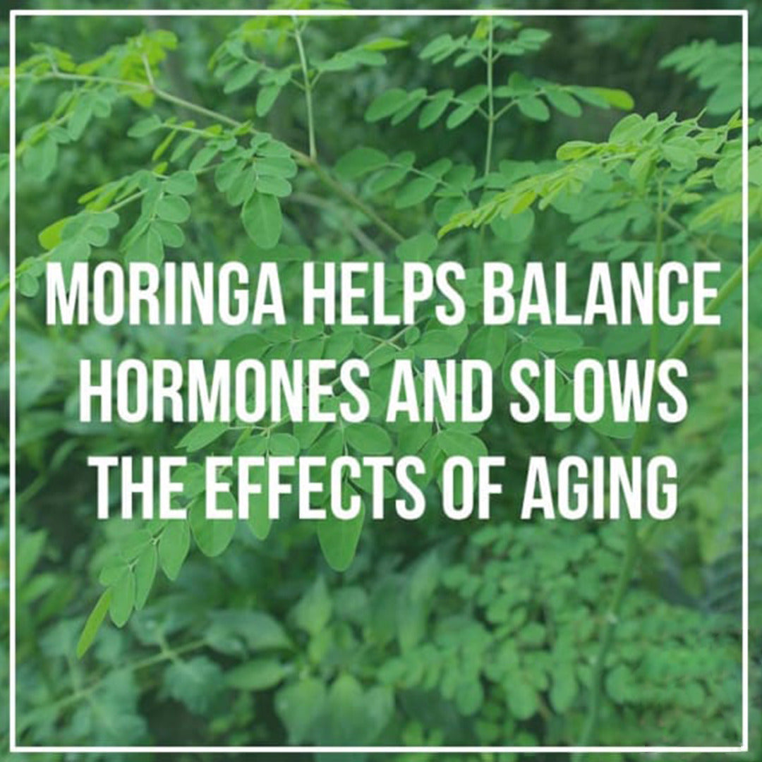 Moringa Leaf Tea